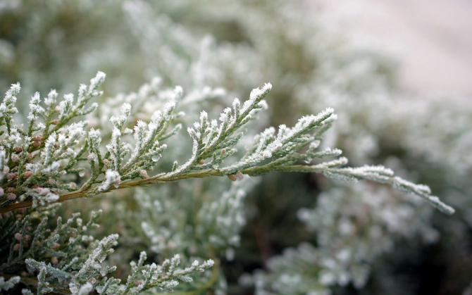 ÎNCEPUT DE FEBRUARIE fără mari surprize meteorologie Vezi cum va fi