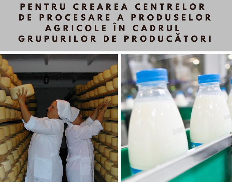 UCIP IFAD lansează concurs de granturi pentru grupurile de producători