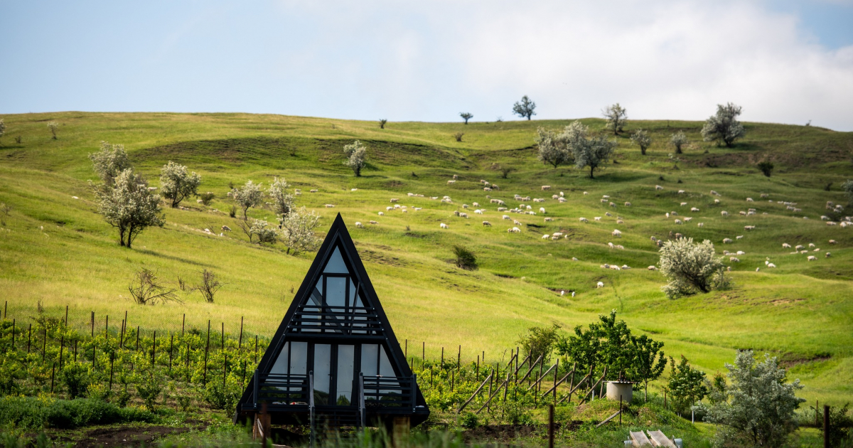 Turism Rural FERMA VILADOR: Lactate artizanale și turism rural în inima Moldovei